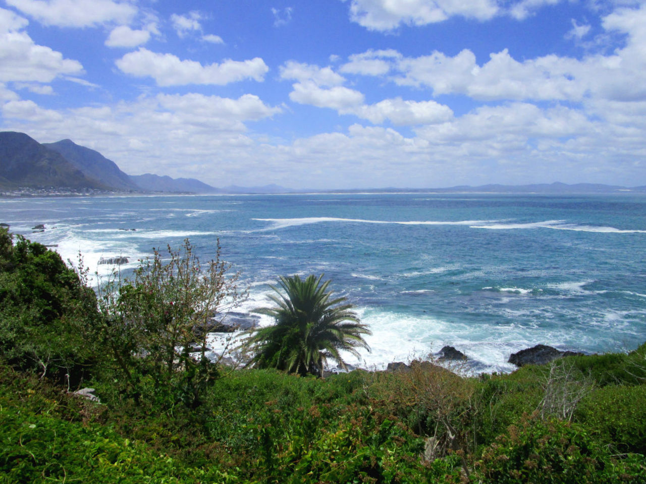 Nachhaltig_reisen_Suedafrika_Hermanus