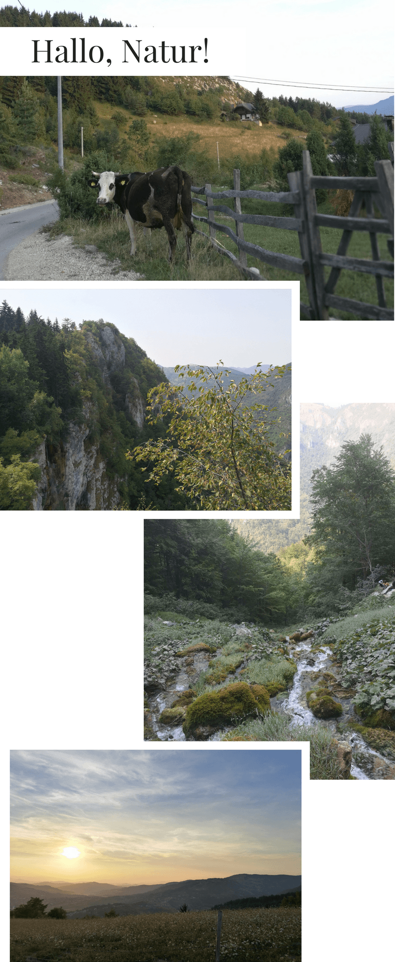 Städtereise_Sarajevo_Natur