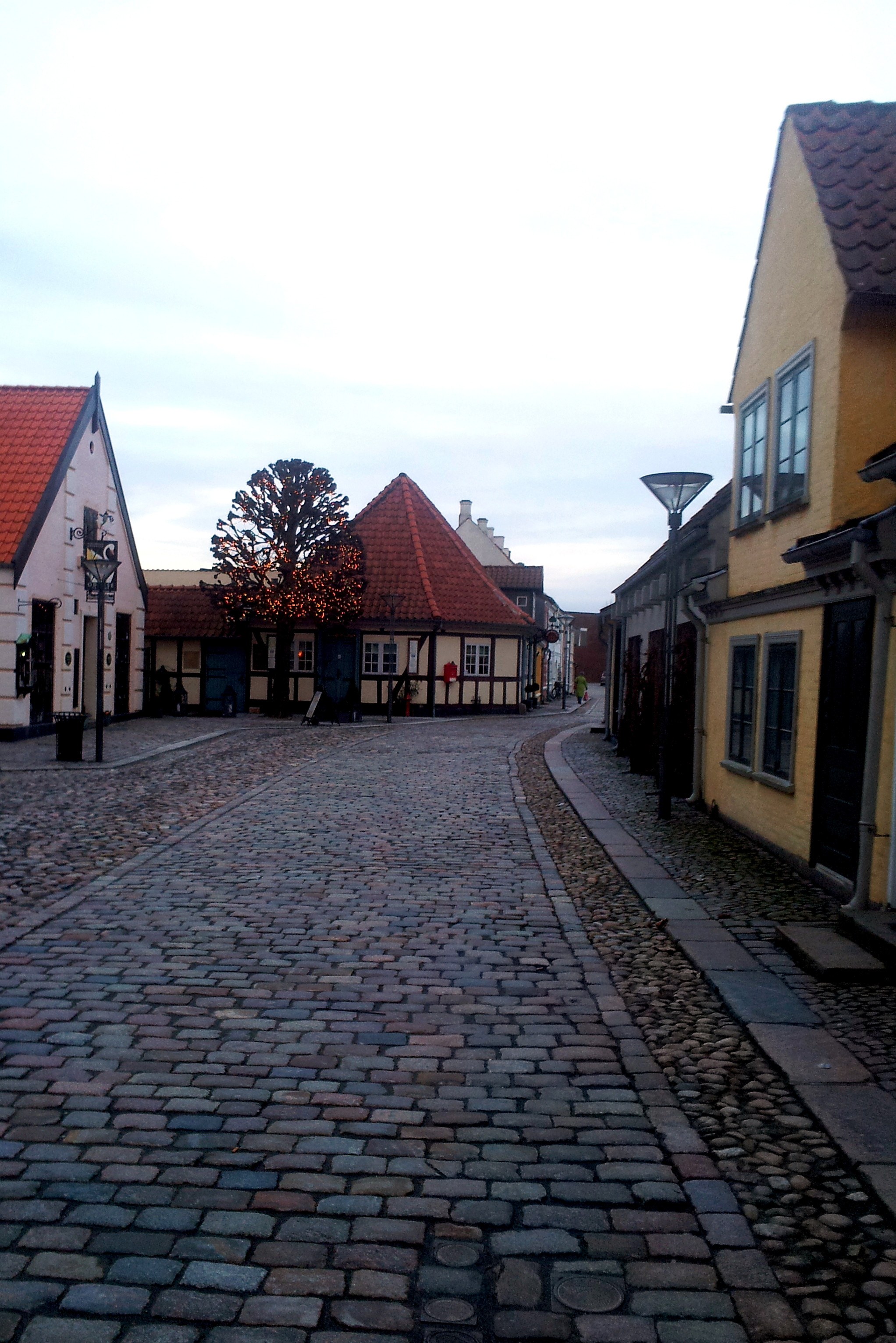 Odense Hans Christian Andersen Home