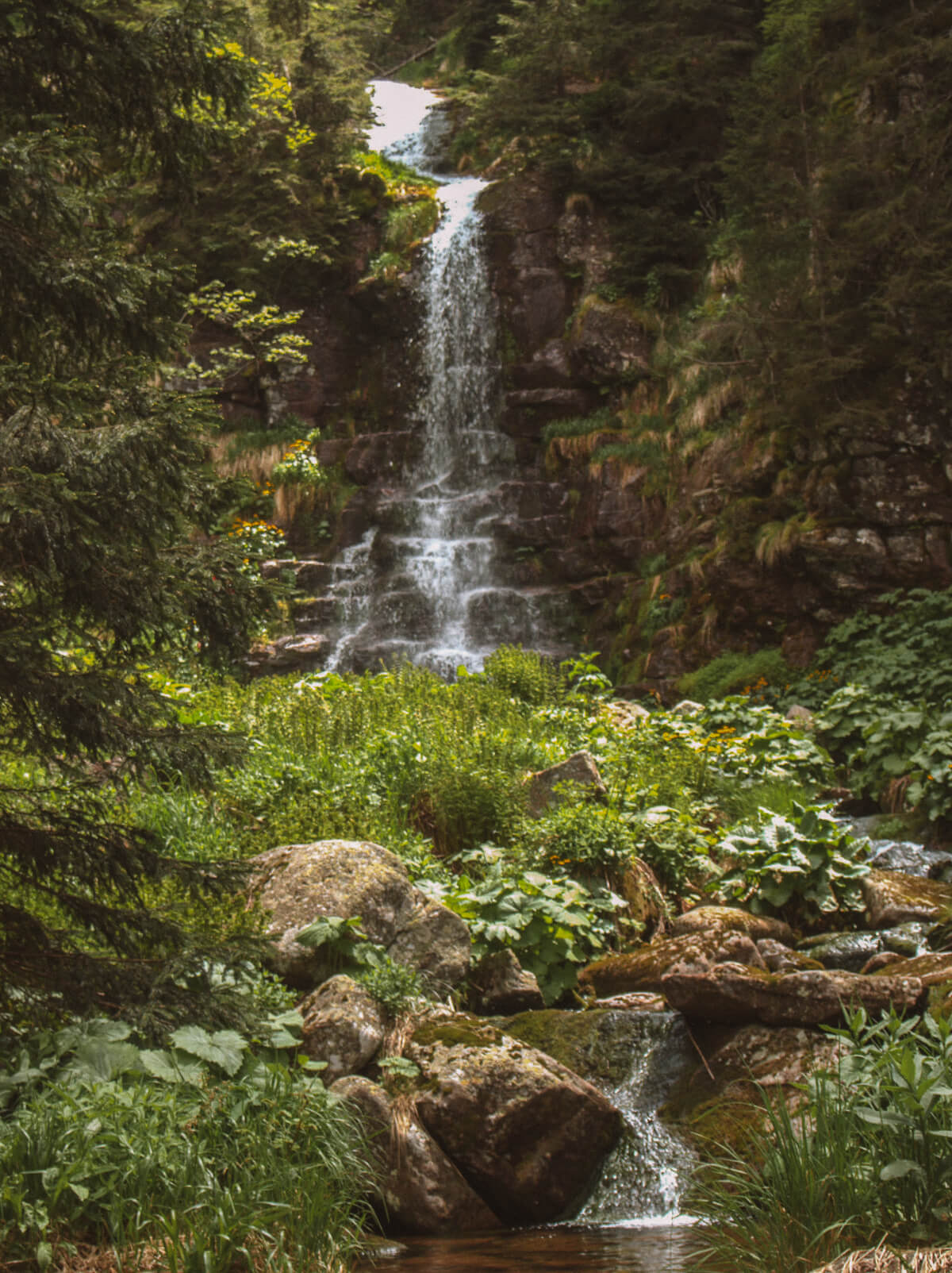 Ein Wasserfall, umgeben von üppigem grün